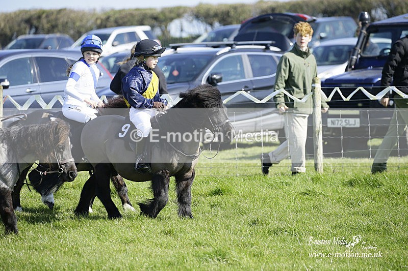 PtP 190322 96 - Wilton Hunt PtP Milborne St Andrew 19/03/22