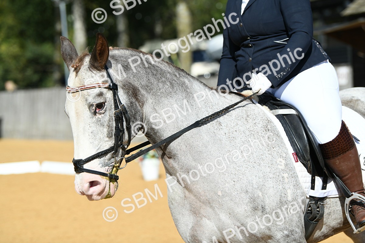 SBM_09810 - D15 Small Tour Championship Novice 24