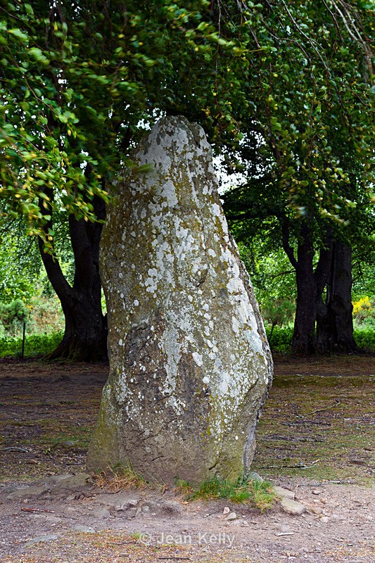 Standing Stones at Clava Cairns - DSC_8227_00016 - Scotland