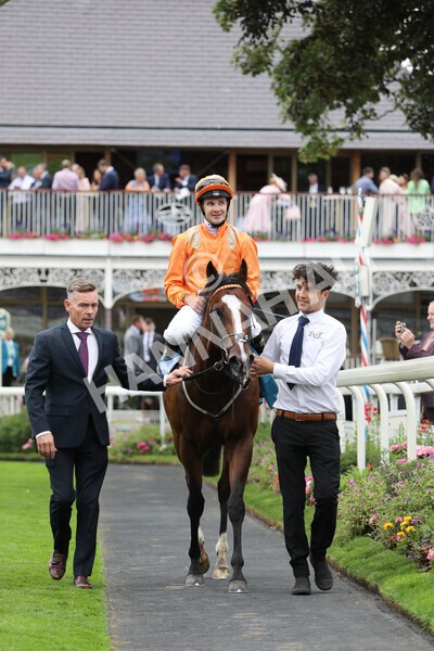 yr17082022r7-38 - Race 7 5.20pm Sky Bet Nursery Handicap