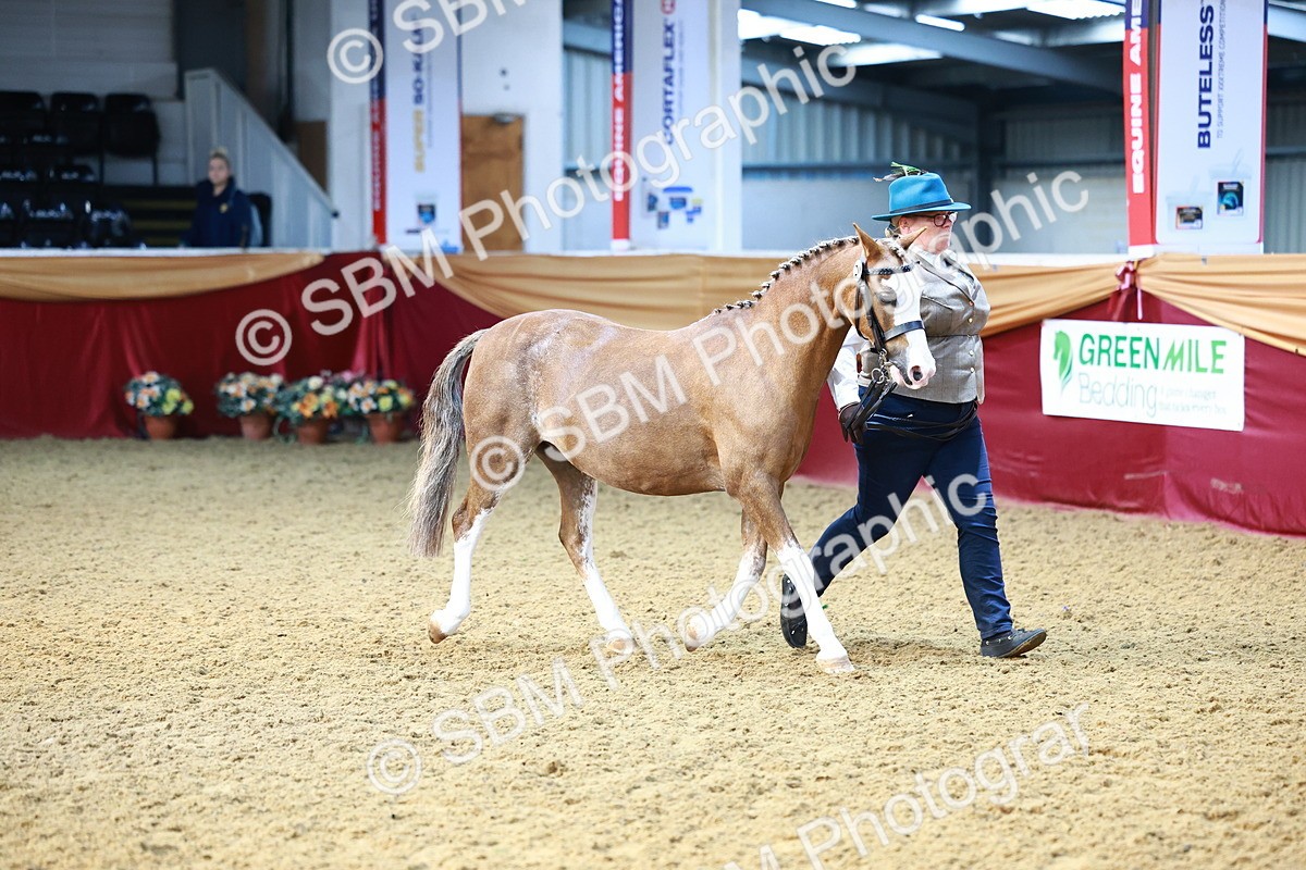 SBM_22178 - Class 902 - Supreme Final - IH Diamond