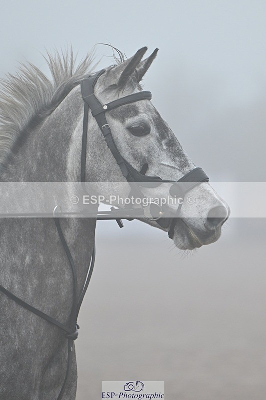 251115-102213-00108 - Cls 5 Pony British Novice and 80cm Open