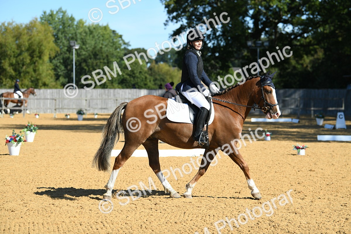 SBM_18123 - D4 - Small Tour Championship - Intro B