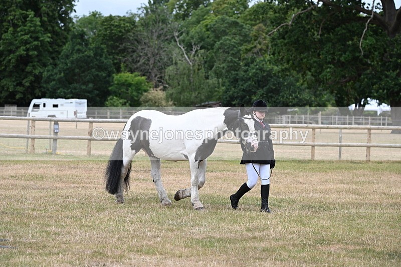 WJ6_4580 - Class 10 Coloured In-hand