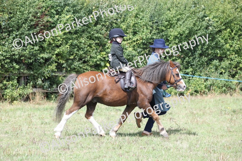 20250831-2779 - Class 17 - Lead Rein Pony