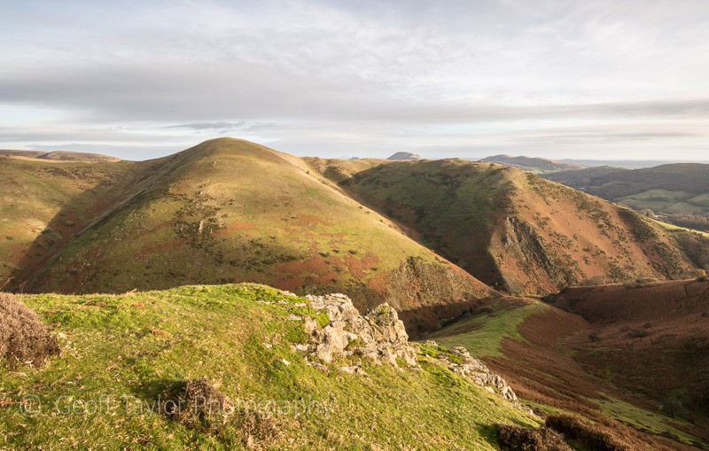 View over Ashes Hollow towards The Wrekin - The Long Mynd