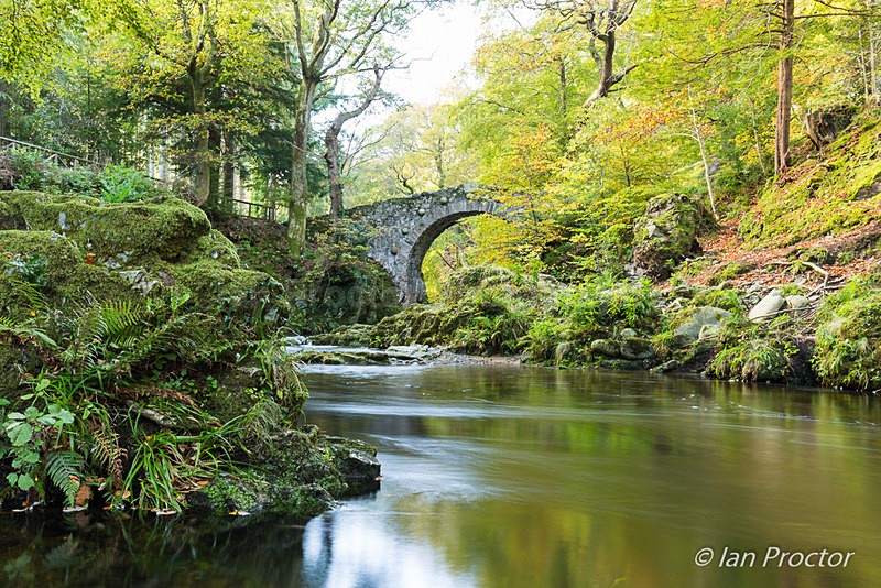 Foley's Bridge in Early Autumn - Autumn