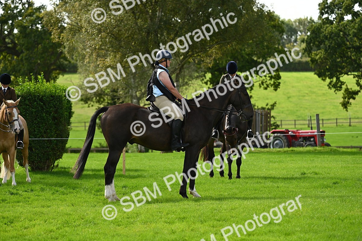 SBM_02008 - S2 - TSR Ridden Horse Showing