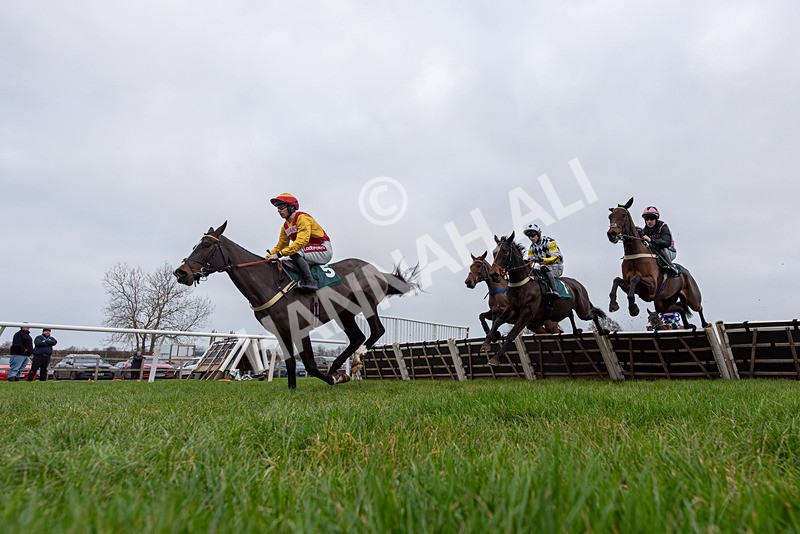 281225-Race 4-Ninna Collina-3926 - Race 4