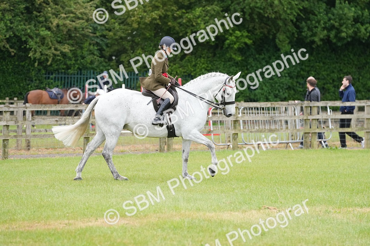 SBM_12831 - Class 97-98 - LIHS BSHA Rising Star Working Show Horse Hunter
