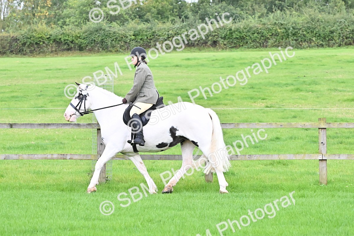 SBM_42891 - S12 - Family Horse & Pony
