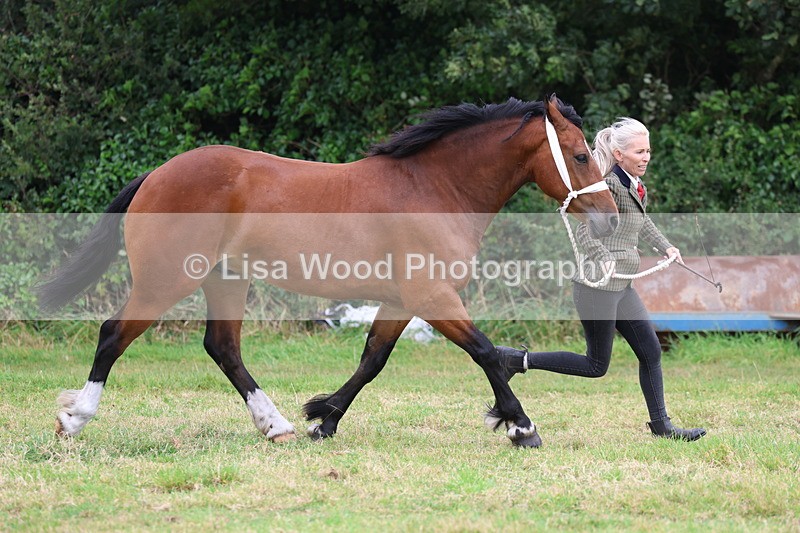 3E7A4379 - Class 15: Three Year Olds