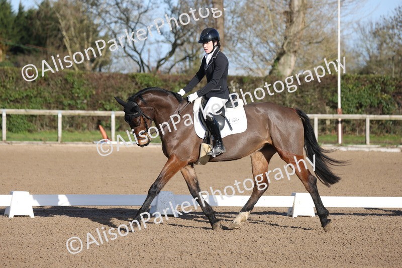 20260128-0145 - Class 3 - Novice 4