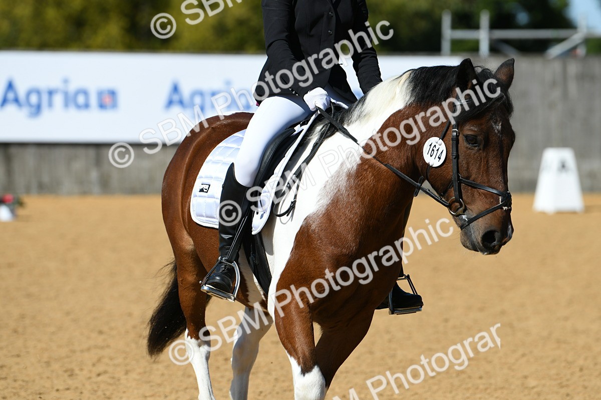 SBM_20583 - D13 - Grand Tour Championship - Prelim 12