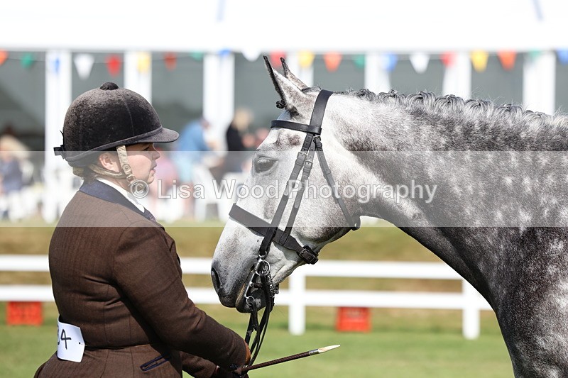 3E7A9088 - Class 3: Rising Star S/L Hunter