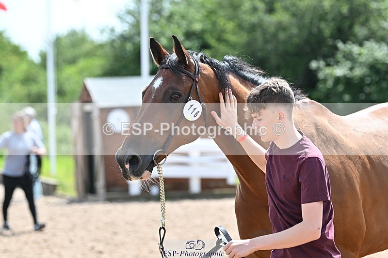 240717A-150325-02492 - Trot Up 3pm to 4pm