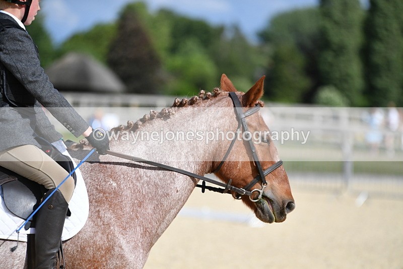 WJ5_7969 - Time 16:56 to 17:14