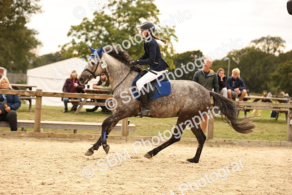 SBM_74419 - J14 - Junior Pony 65cm Championship