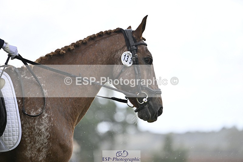 240824X-123213-26371 - D80 Section E and F 12.00 to 13.20