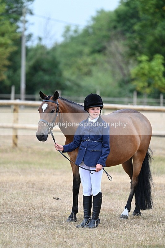 WJ7_9659 - Class 5 Most Handsome Gelding (up to 14.2hh)