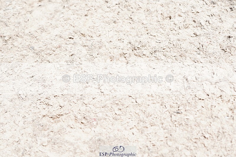 250615A-143334-11429 - Class 47 Snr British Novice 2nd Rnd