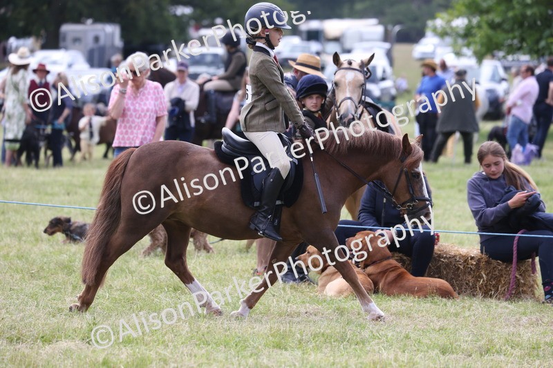 20260614-2090 - Class 21 - Novice Working Hunter Pony