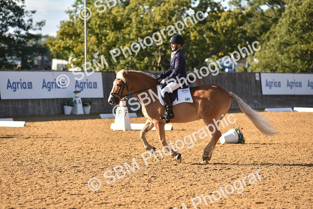 SBM_11409 - D28 - Elementary