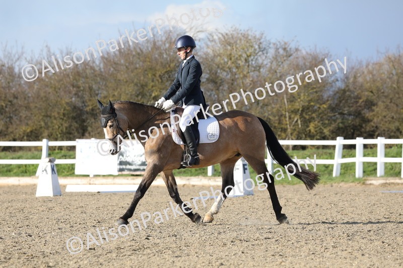 20260314-5871 - DR8 - Elementary 2