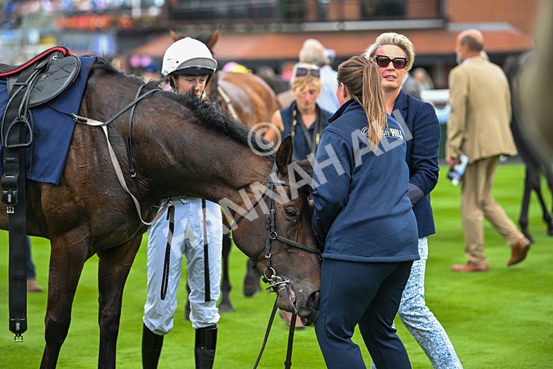 290725-Race 1-Poets Dawn - Star Start-9475 - Race 1