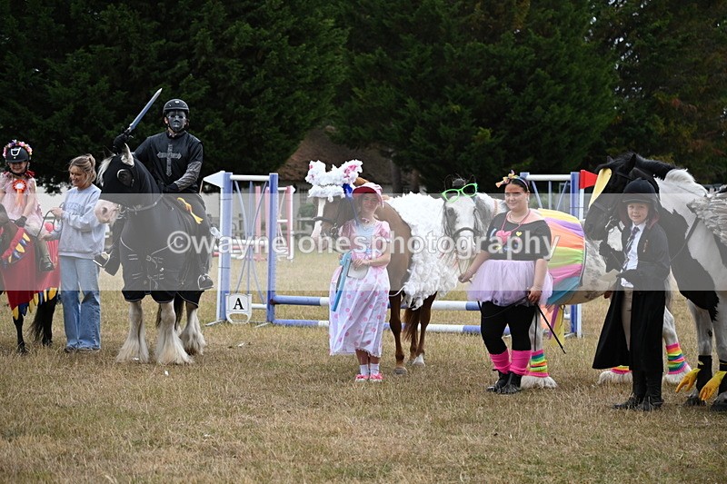 WJ6_9248 - Class 11 Fancy Dress