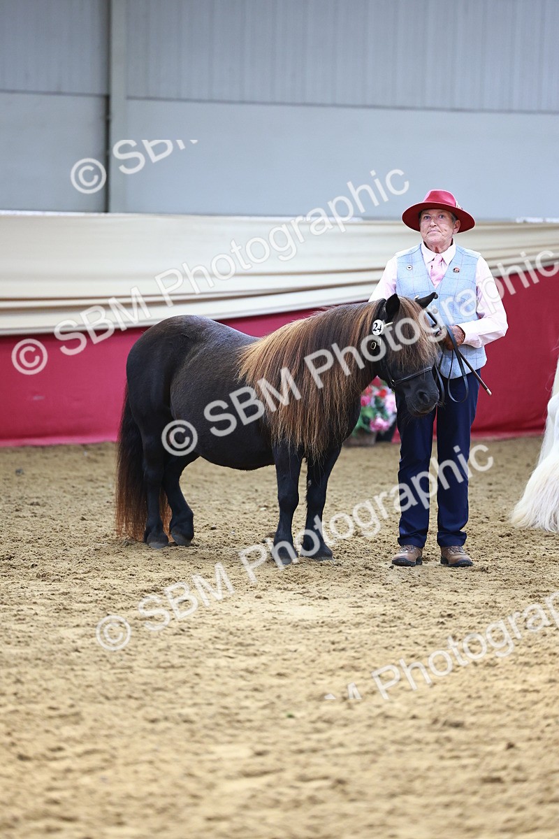 SBM_22338 - Class 902 - Supreme Final - IH Diamond