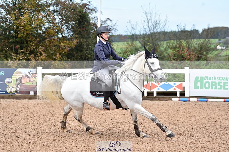 231029A-102914-02301 - 70cm Pony Intro