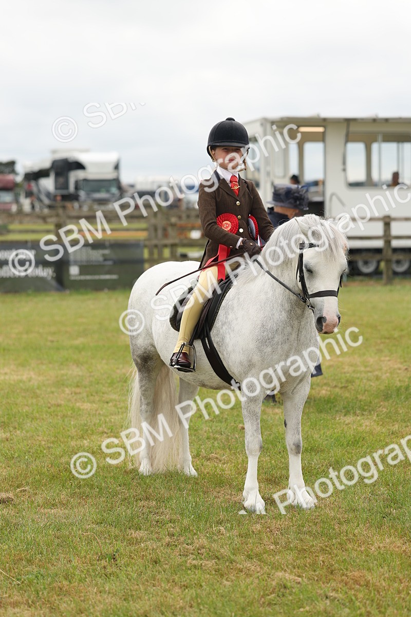 SBM_06953 - Class 74-75 - M&M Lead Rein and First Ridden Pony