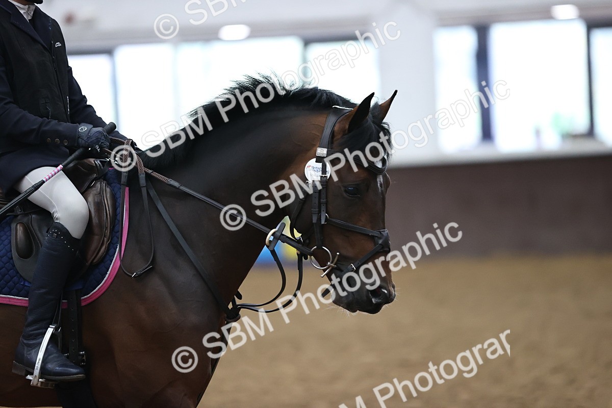 SBM_000133 - Class 2 - Pony British Novice - 80cm Open