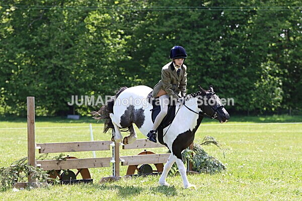 IMG_3830 - Working Hunter