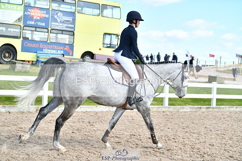 240421A-163110-15423 - Cls 32, YH 6yr 1.20m