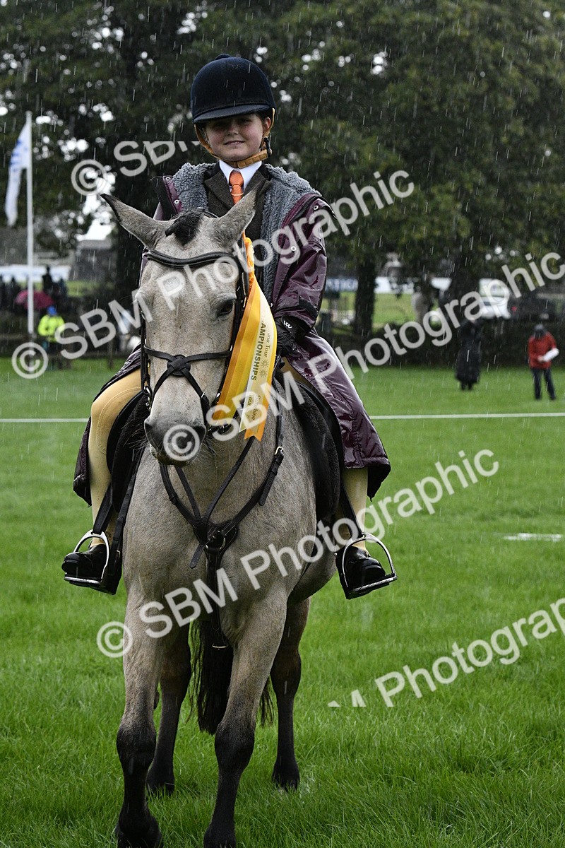 SBM_35595 - S30 - Nursery Stakes Working Hunter Pony