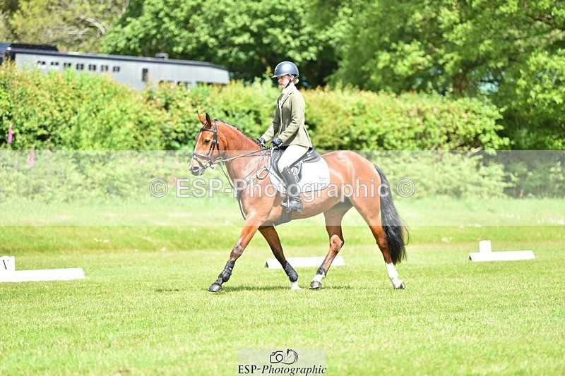 240523B-113328-01998 - 5 Year Old