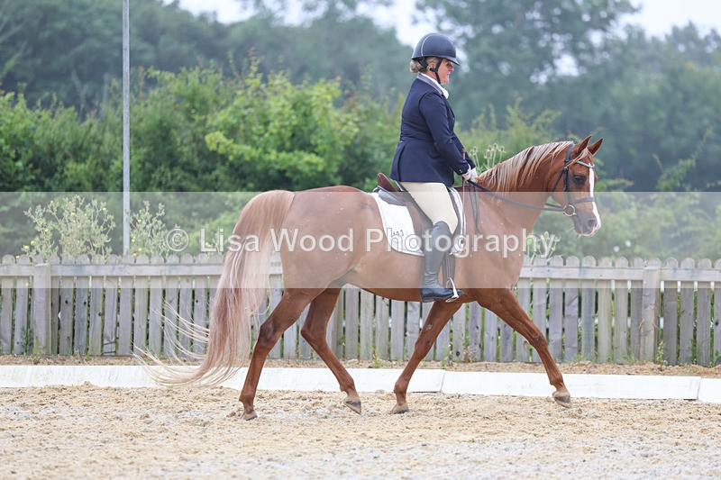 3E7A8256 - Class 2: Intro 3 2024 section B