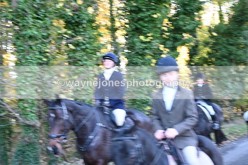 WJ6_9727 - Walk Home