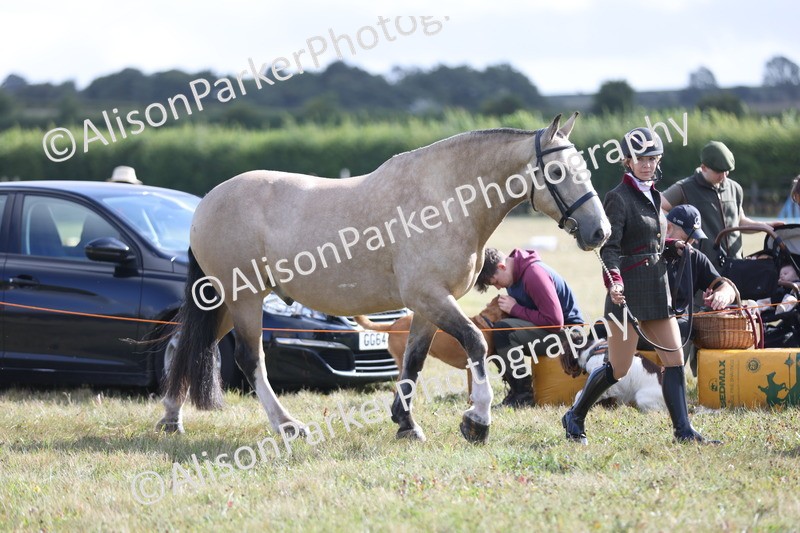 20250831-1497 - Class 21 - Inhand Open