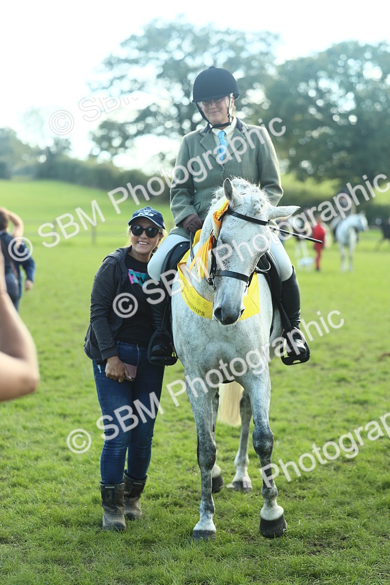SBM_49961 - S32 - Novice & Newcomers Working Hunter