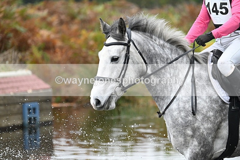 WJ7_1132 - 80cm Cam 2 Water Time 11:29 to 11:46
