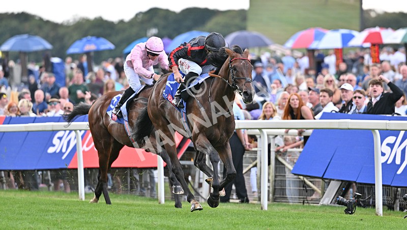 190826-077 Maltese Cross - Race 3 15.00pm Sky Bet Great Voltigeur Stakes