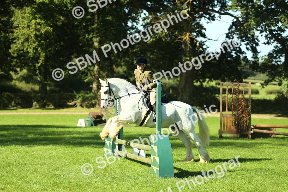 SBM_37388 - S29 - Novice & Newcomers Working Hunter Pony