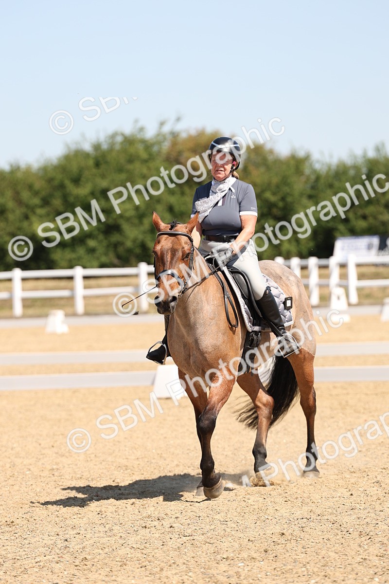 SBM_001167 - Intro 2