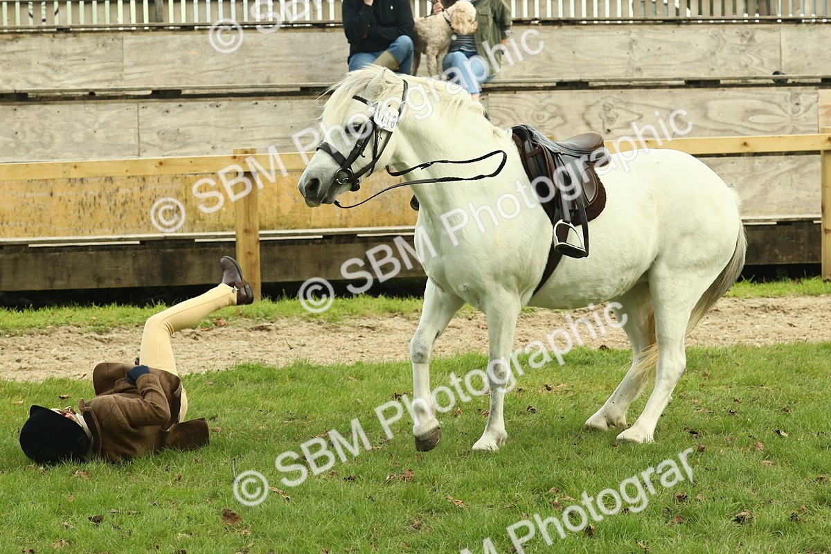 SBM_69936 - S59 - Mountain & Moorland Ridden Small Breeds