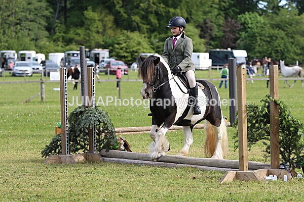 IMG_2205 - Working Hunter