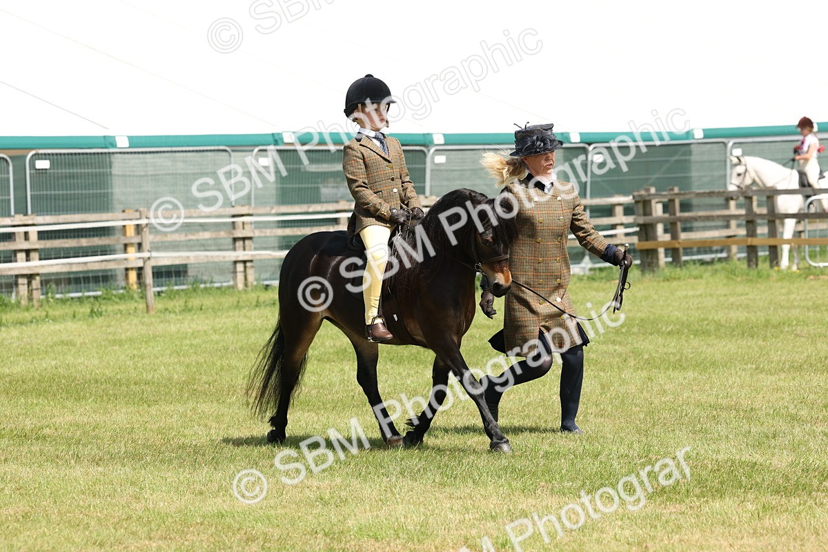 SBM_05253 - Class 24-25 - Mountain & Moorland In Hand Lead Rein and First Ridden