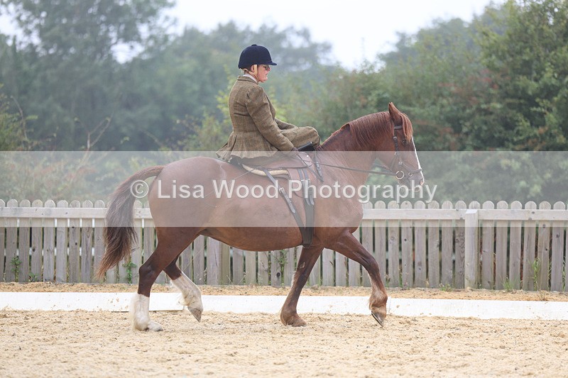 3E7A6855 - Class 5: Prelim to Music